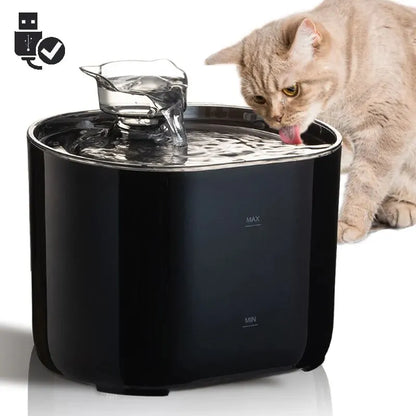 Water Fountain for Cats