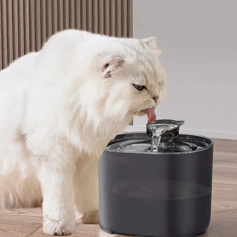 Water Fountain for Cats