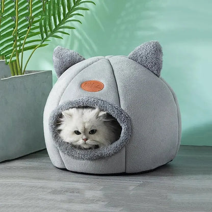 Cute Cat House