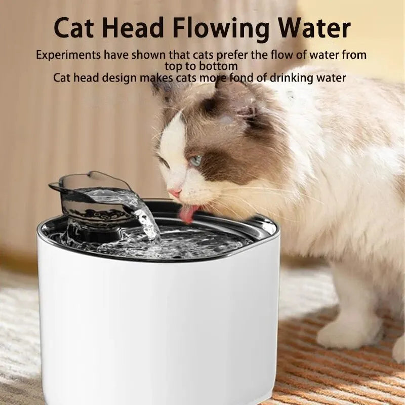 Water Fountain for Cats