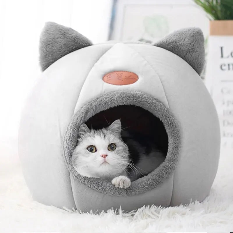 Cute Cat House